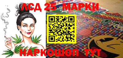 индика Шелехов