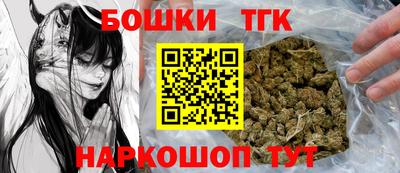 индика Шелехов